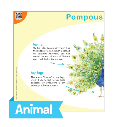 Kindergarten Starter Pack (Eng) PN-K1 寶寶親子探索套裝