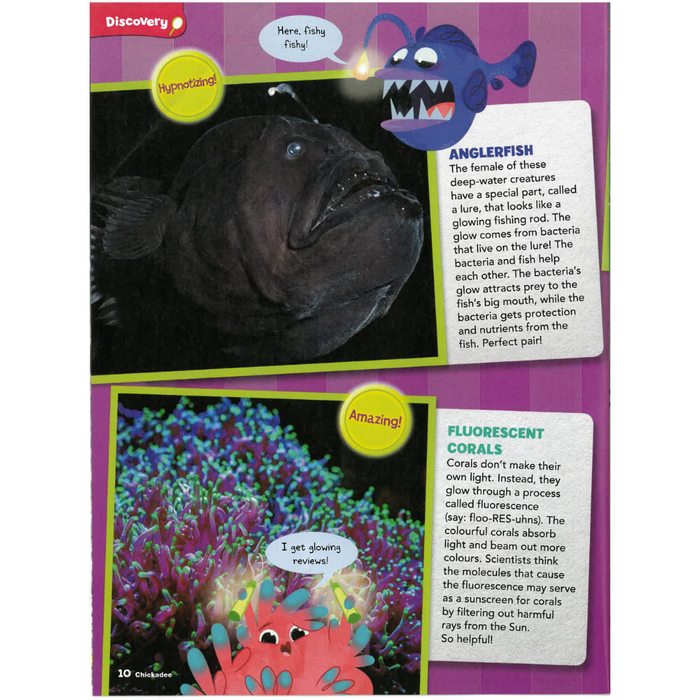 Chickadee: Ages 6-9 (10 issues)