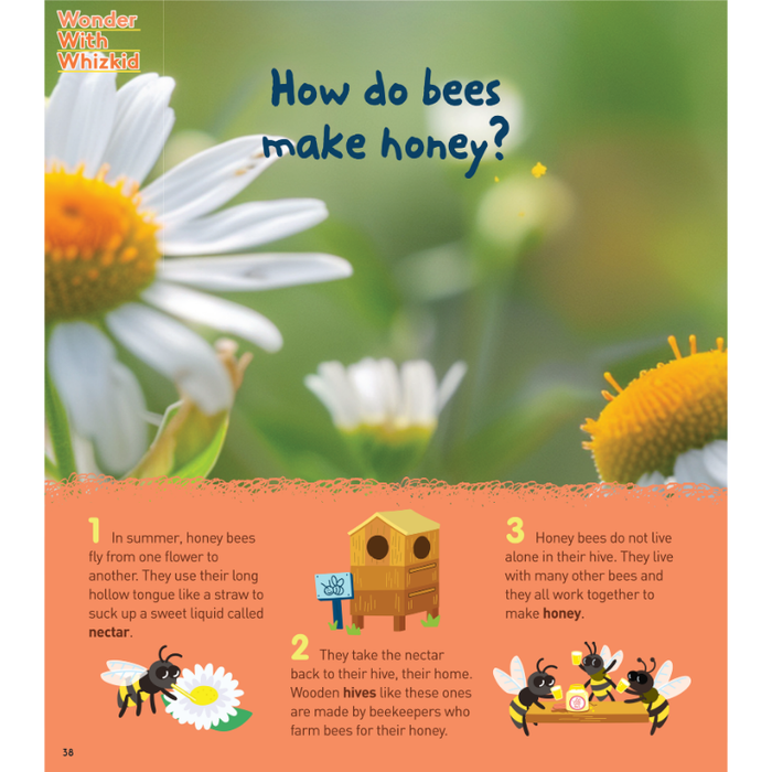 StoryBox: Ages 3-8