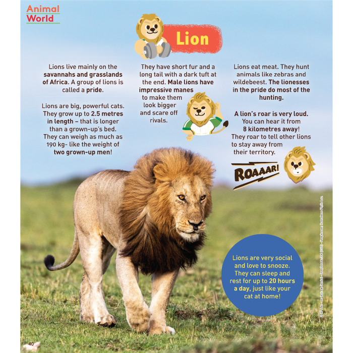 StoryBox: Ages 3-8