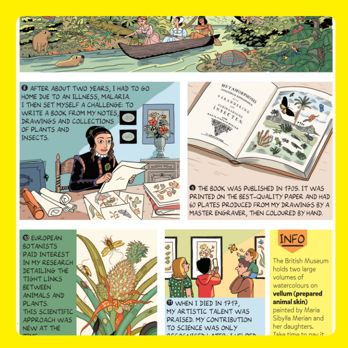 DiscoveryBox (English/英文): Ages 7-14