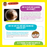DiscoveryBox (English/英文): Ages 7-14