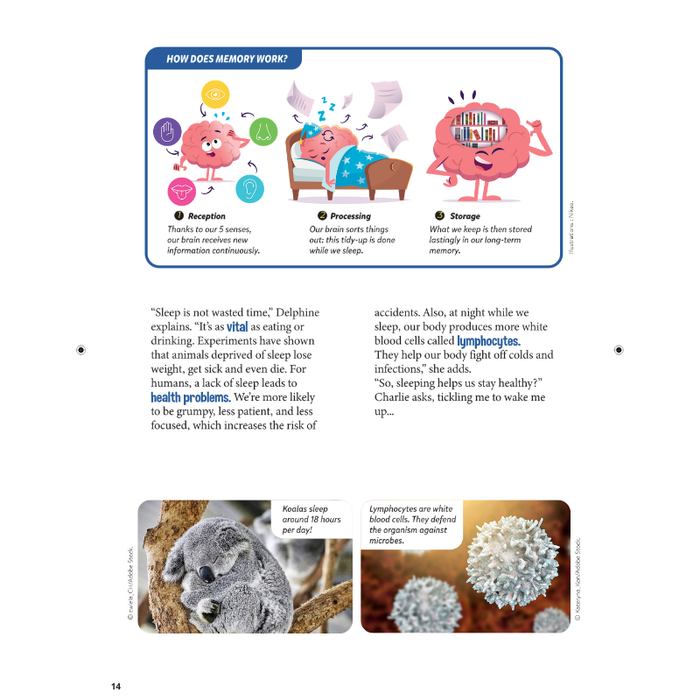 DiscoveryBox (English/英文): Ages 7-14