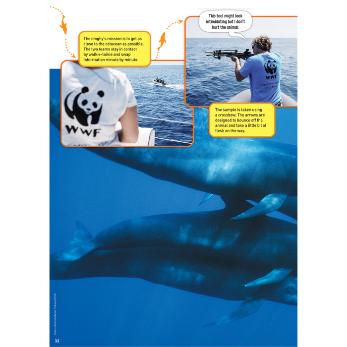 DiscoveryBox (English/英文): Ages 7-14