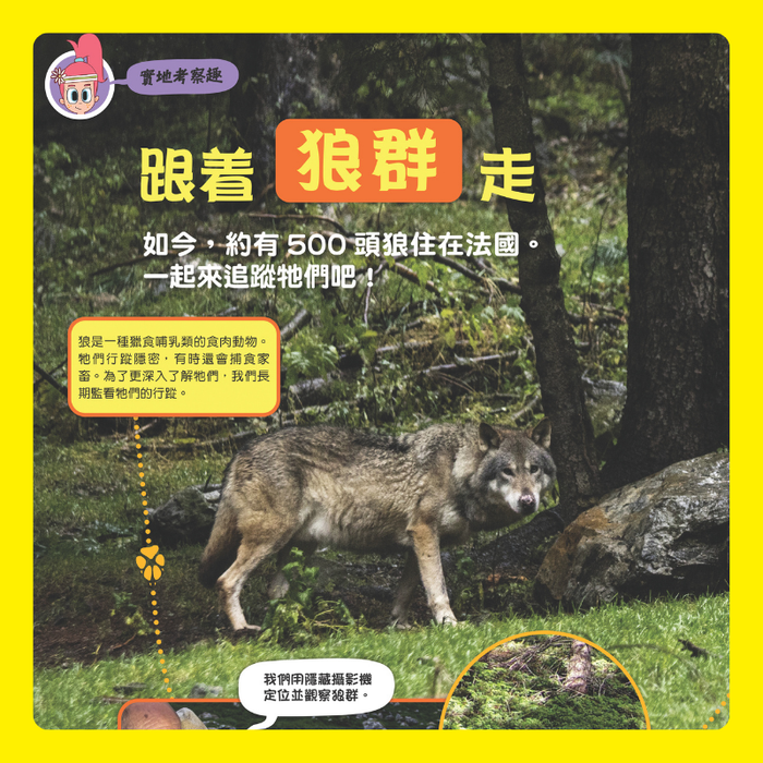 DiscoveryBox 中文版 : Ages 7-14