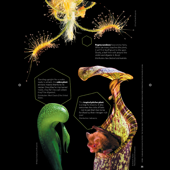 DiscoveryBox (English/英文): Ages 7-14