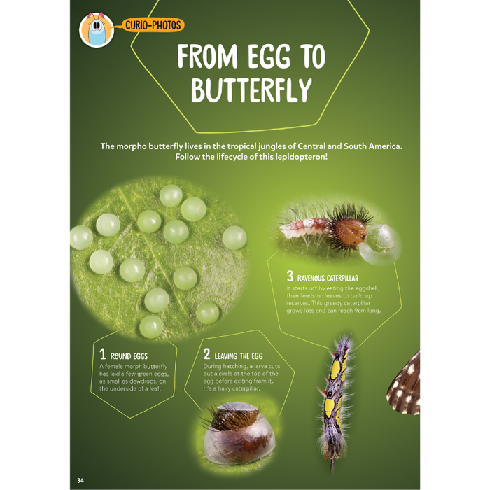 DiscoveryBox (English/英文): Ages 7-14