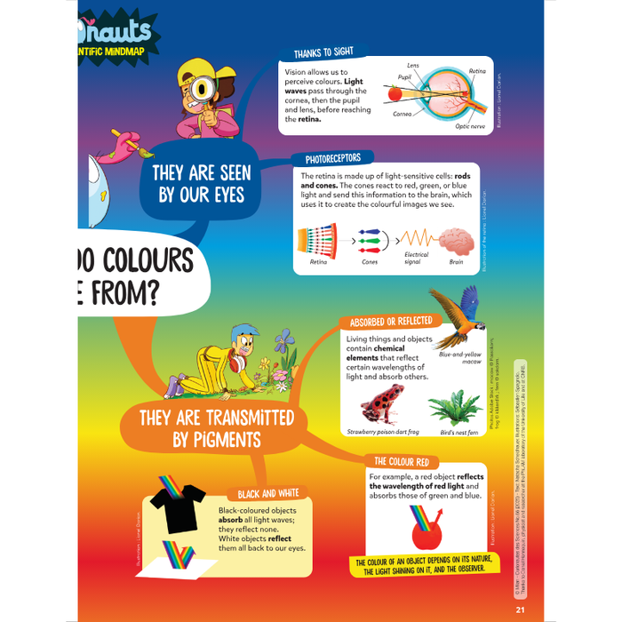 DiscoveryBox (English/英文): Ages 7-14