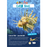 DiscoveryBox (English/英文): Ages 7-14