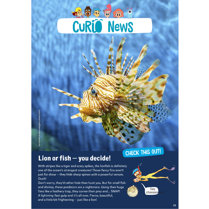 DiscoveryBox (English/英文): Ages 7-14