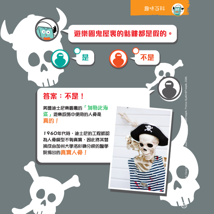 紅蘋果 Red Apple: Ages 6-10