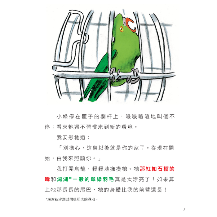 書之谷 StoryLand: Ages 9-14