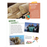 DiscoveryBox (English/英文): Ages 7-14