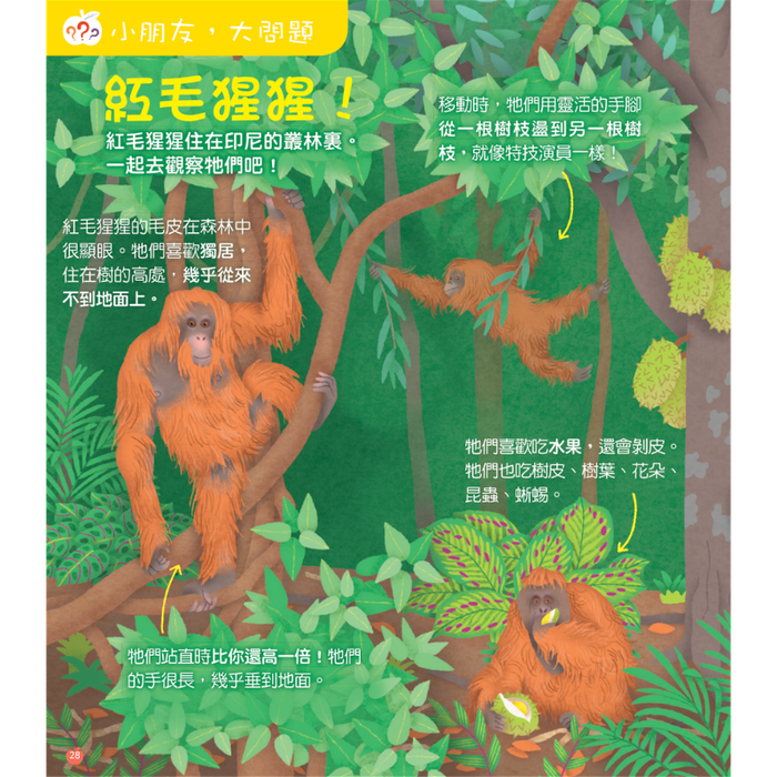 小小紅蘋果 Little Red Apple: Ages 3 - 8