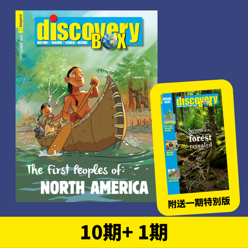 DiscoveryBox: Ages 7-14 (2023+2024) - English